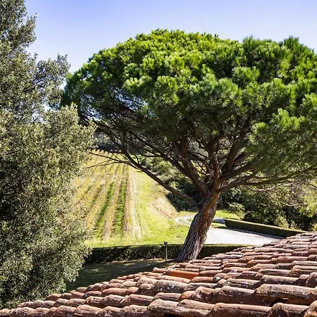 Fattoria Varramista - Podere Lecceta * Montopoli in Val dʼArno