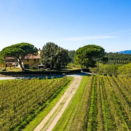 Fattoria Varramista - Podere Lecceta Montopoli in Val dʼArno